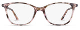 CM9146 Cocoa Mint