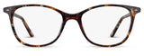 CM9146 Cocoa Mint