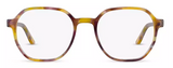 CM9171 Cocoa Mint