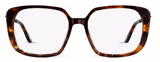 CM9176 Cocoa Mint